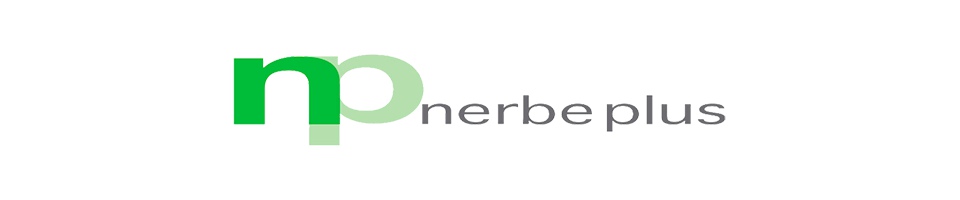 Nerbe plus GmbH